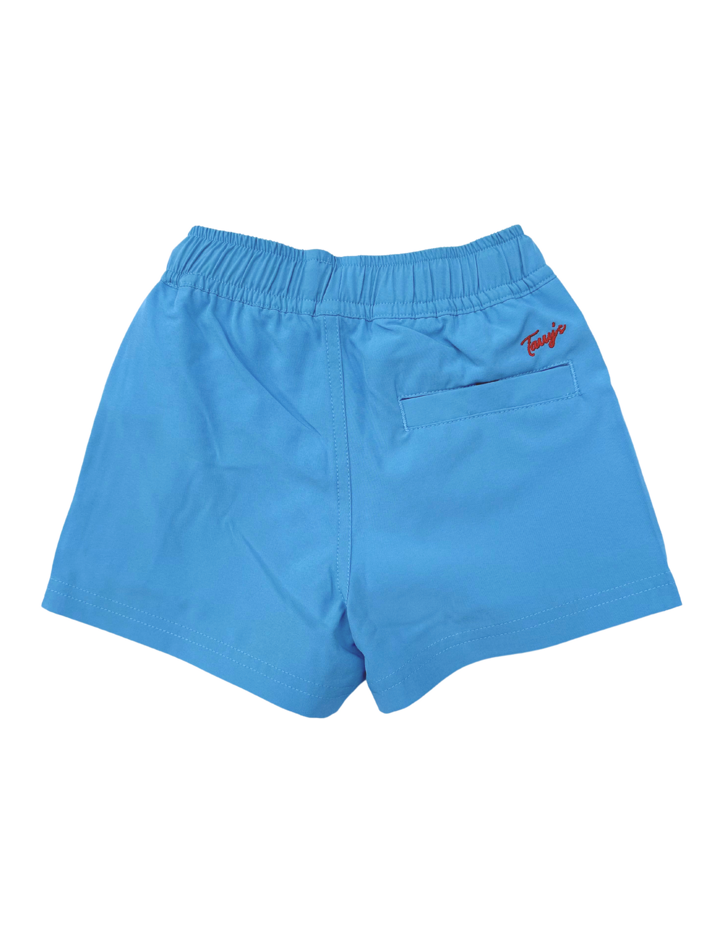 Swim Shorts - Blue